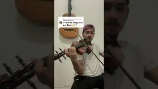 Reconoces esta melod&iacute;a? #toystory #disney #violinist #violin #violincover #melodia #musico #cover