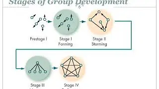 Organizational behavior - Work groups & Team Processes