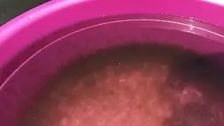 SIS PL13 白蝦苗