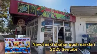 Navoiy Eski shahar zoo magazin