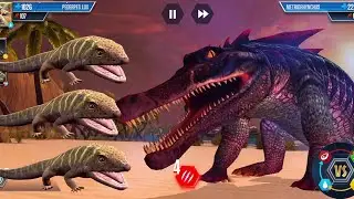 Team Dino PEDERPES LUX VS Team Dino METRIORHYNCHUS Ep303 @NINIKAKAD