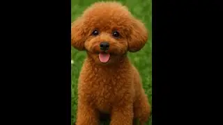 CocoChanelTVAdventures: 🐾 Pawtraits A Celebration of Dogs in Art 🐾
