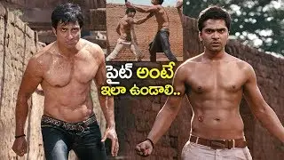 పైట్ అంటే ఇలా ఉండాలి.. | Simbu & Sonu Sood Ultimate Action Scene | 2018 Movie Scenes