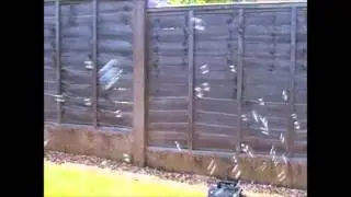 Bubble Machine avaliable to hire @ Riley's Party Hire