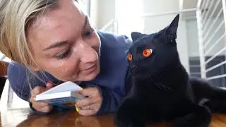 no matter what we do, my cat hates my girlfriend