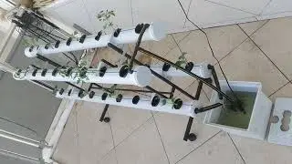 YENİ MEGA SETİMİZ İLE EVDE TOPRAKSIZ TARIM YAPMAK