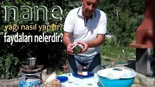 NANE YAĞI NASIL YAPILIR? FAYDALARI NELERDİR? HOW IS MINT OIL MADE? WHAT ARE THE BENEFITS?