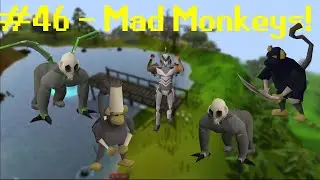 Two Mad Monkeys | UIM Raxlius Episode 46