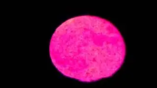Nibiru In The Sky October 18, 2022