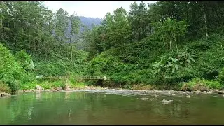 Sleep Therapy 😴 Clean Mountain River Sounds | Relaxing Nature