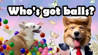 This AI world's Trump-like Corgi - Ball? Digital Corgi Art | Corgi Comedy