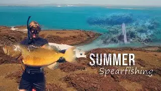 DAMPIER SUMMER SPEARFISHING (good viz)