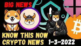 Baby Doge Coin | Lovely Inu Safemoon Shibnobi Shinja Floki inu coin news today | Crypto News Today