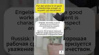 What is a good work environment? 🇳🇴 Learn Norwegian B1 | Subtitles: English & Russian / Субтитры