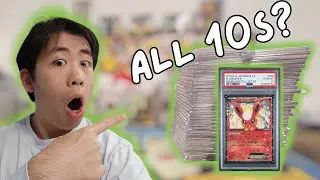 97% GEM RATE SUBMISSION?! (PSA RETURN)