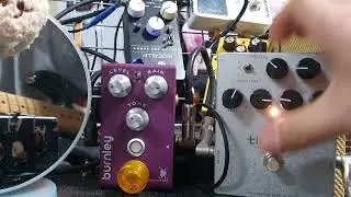 titania Distortion(KarDian)+Burnley V2 Distortion(Bogner)+ATS808+od3(BOSS)+Fender Relic Guitar+Amp