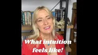 What Your Intuition Feels Like