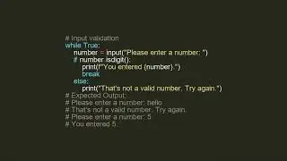 Python - input(): Interacting with Your Programs