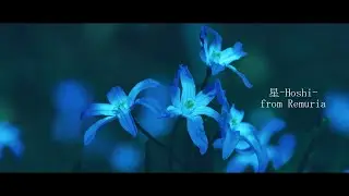 【Project Remuria】星 -Hoshi- from Remuria【Ambientflow &times; アメミヤチカ】