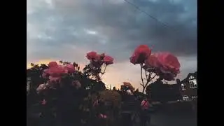 Juice Wrld Type Beat 