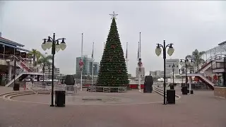 Increased security for tree lighting
