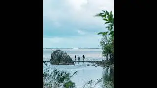 Strolling Shanghai's urban seaside greenway