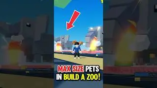 Я получил МАКСИМАЛЬНО БОЛЬШИХ ПИТОМЦЕВ в игре Build a Zoo!! #roblox