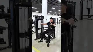 Seated Chest  Press