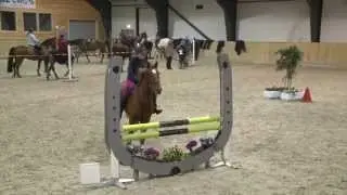 Toppidrett