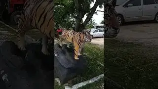 Puli puli 🍇🍇#Shorts video. | Rifni Short Channel