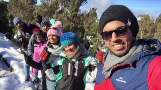 Hartz Mountain travel video