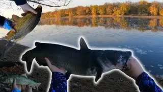 Fishing The Mississippi River for Carp, Catfish, and Suckers!