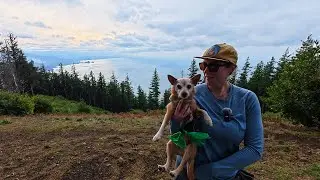 Hiking Humbug Mountain in Port Orford, Oregon! Marble hiding!