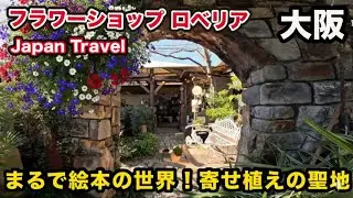 【神センスすぎ】フラワーショップロベリア🌹NHK趣味の園芸の上田広樹さんが作る寄せ植えがヤバい❗️🌹【フラワーショップ ロベリア】内部完全公開☘️可愛すぎて悶絶❗️🌱