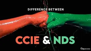 Узнайте, почему курс Network Data Specialist (NDS) лучше, чем CCIE | 100% успешная карьера