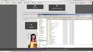 Как установить и настроить скрипт Duik Bassel в After Effects Pro 2017