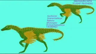 INTERVIEW WITH BIRD ANCESTORS 2