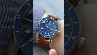 Dive into the World of German Watches | Exclusive @wornandwound review | Gorgeous Blue Sealander