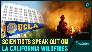 UPDATE: Los Angeles Wildfires Scientists Break Silence On How Climate Change Fueled LA Devastation