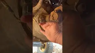 JCB 3dx plus BS4 sensor