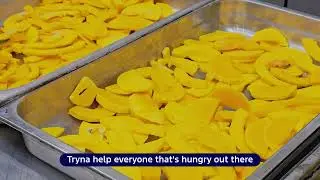 Kaibosh Food Rescue - Lower Hutt tour!