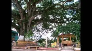 pochuta.avi