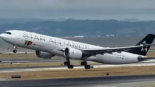 Airline Alliance Series: Star Alliance (The Biggest Airline Alliance in the World)