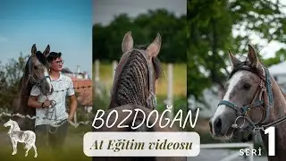 BOZDOĞAN ile AT EĞİTİM SERİSİ 1. VİDEO (AT EĞİTİMİ)