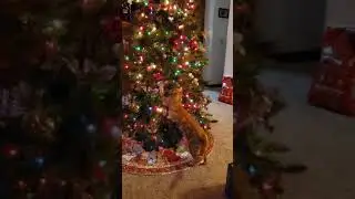 Lumi and the tree #2