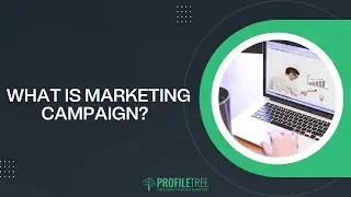 What is a Marketing Campaign? Simplifying the Definition with Examples.
