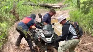 D.A.R.T and the Jungle Rescue