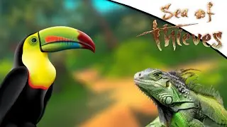 Les PETS que RARE devraient AJOUTER ! - AUTRES SEA OF THIEVES