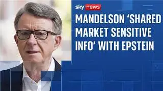Mandelson accused of sharing 'market sensitive info' with Jeffrey Epstein