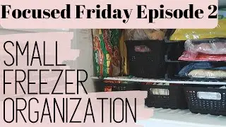 DOLLAR STORE SMALL FREEZER ORGANIZATION 2020 | FOCUSED FRIDAY EPISODE 2